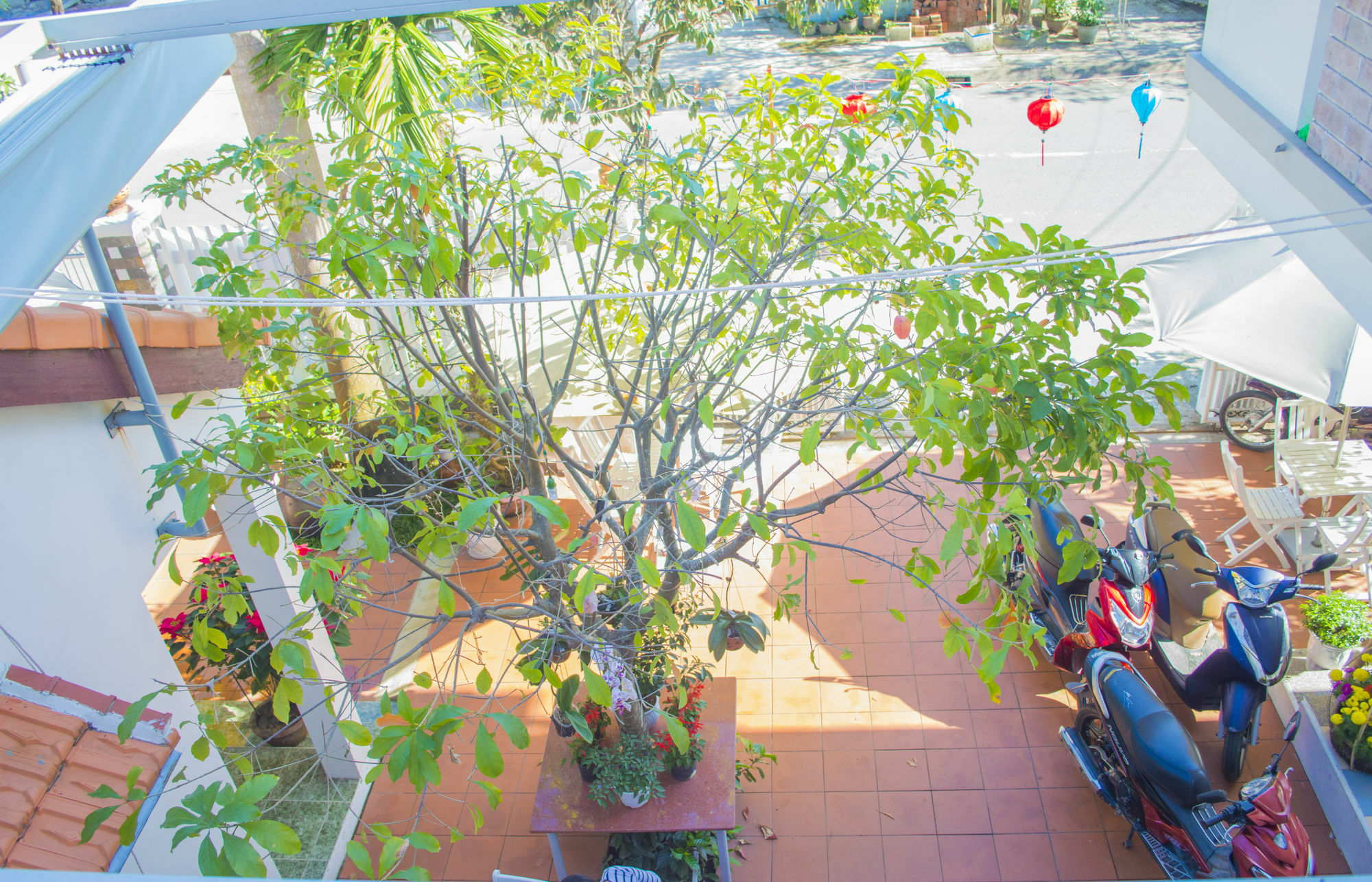 Halo Homestay Hoi An Dış mekan fotoğraf